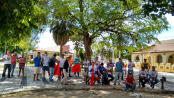 (FOTO: Sinsepuma/Divulga