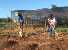 Trabalhadores pedem redução de juros para produzir alimentos no Brasil
