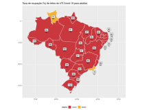 Observatório Covid-19 aponta maior colapso sanitário e hospitalar da história